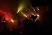 photo 10772333.jpg